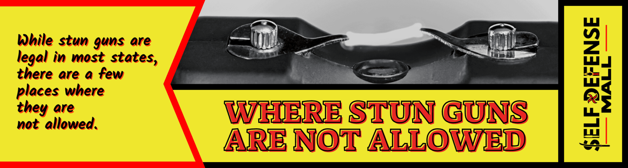 Review of the Stun Gun Laws in the United States