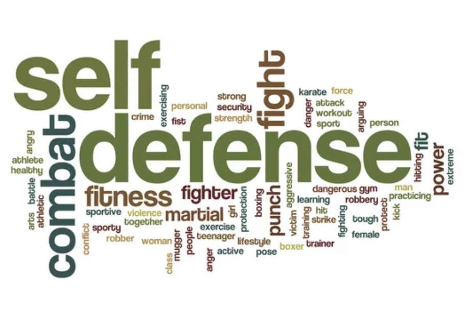 logo of self defense mall
