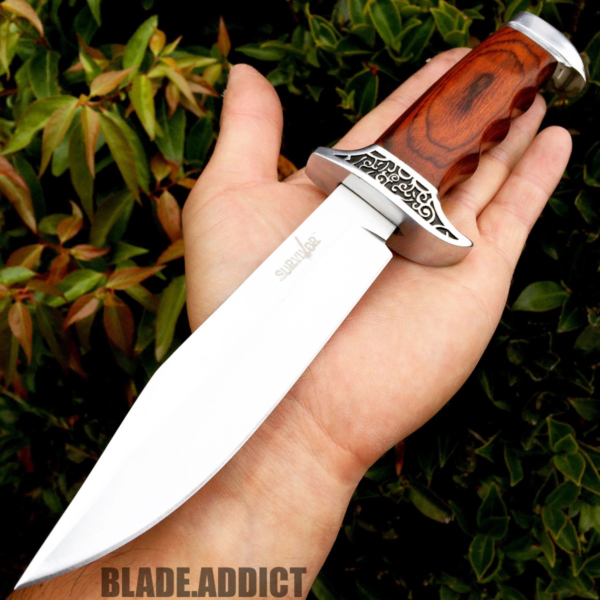 10" Full Tang Wood Fixed Blade Knife Hunting Skinning Survival Army Bowie