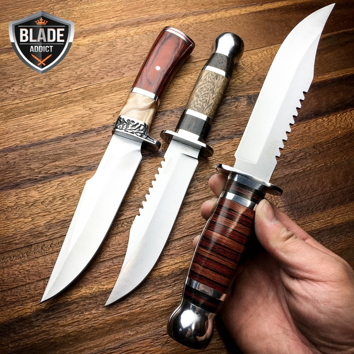 3 PC 10.5" Stainless Steel Survival Skinning Hunting Knife Bowie Camping SET NEW