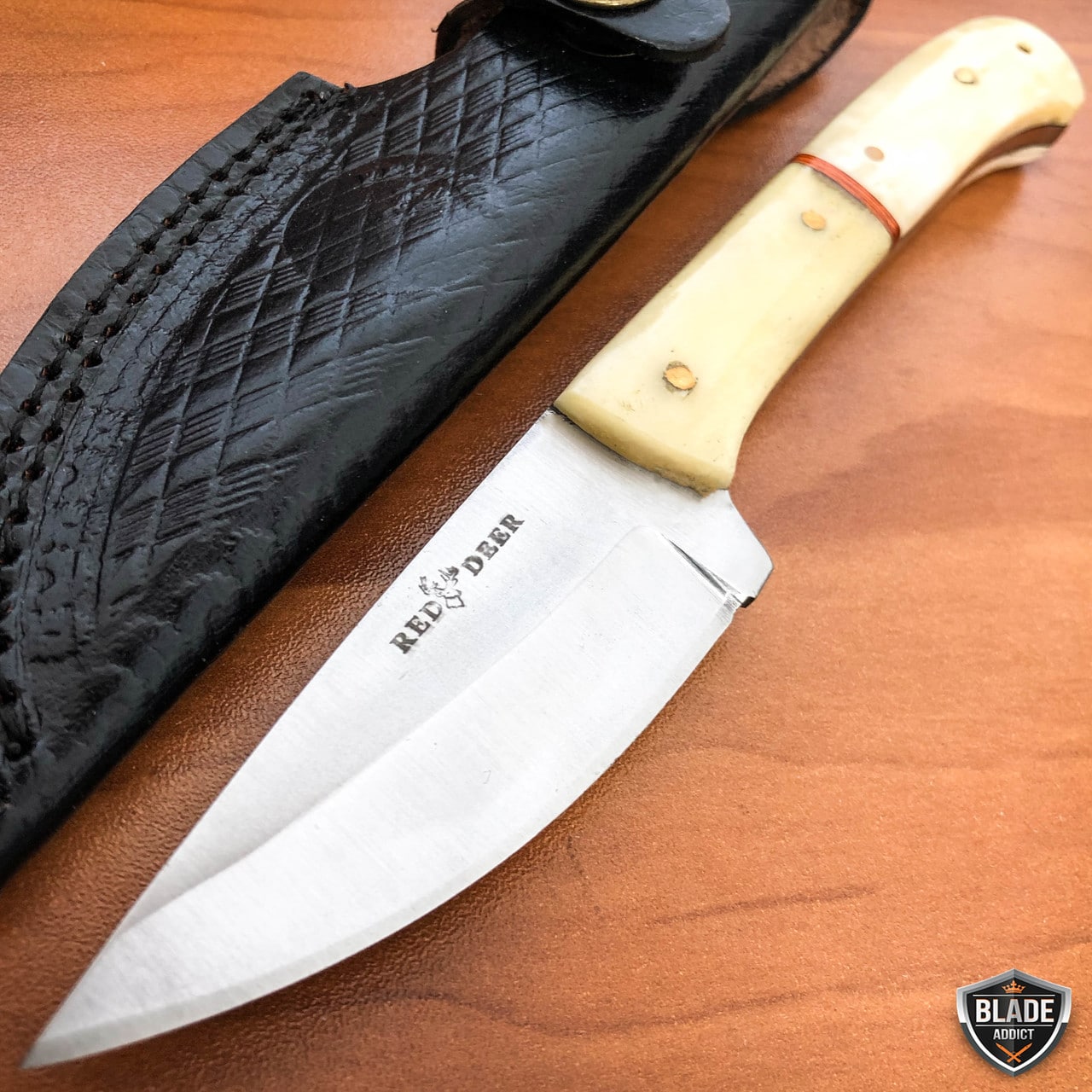 8" Hunting Fixed Blade Full Tang Skinning Knife + Bone Handle + Leather Sheath