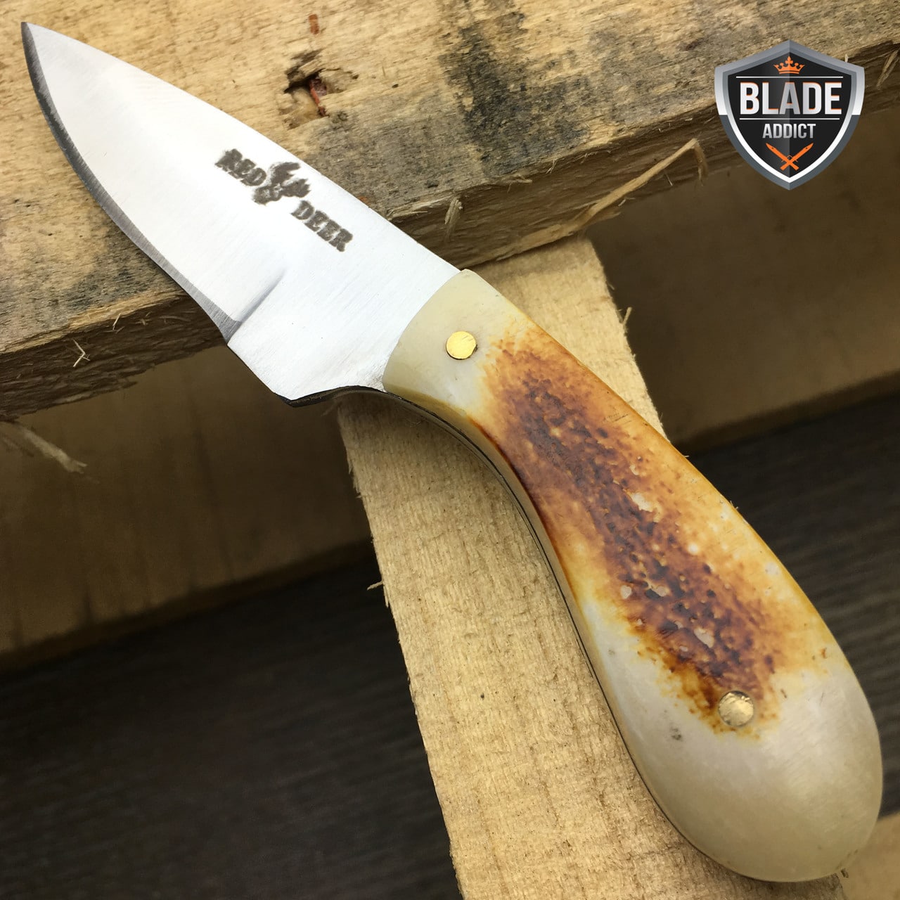 4.5" Hunting Fixed Blade Full Tang Neck Skinning Knife Bone + Leather Sheath New