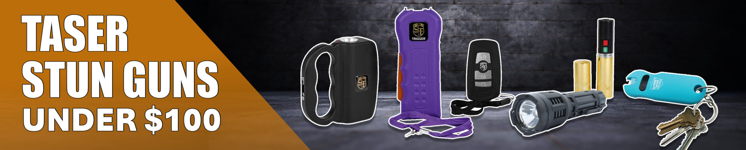 TASER Stun Guns under $100