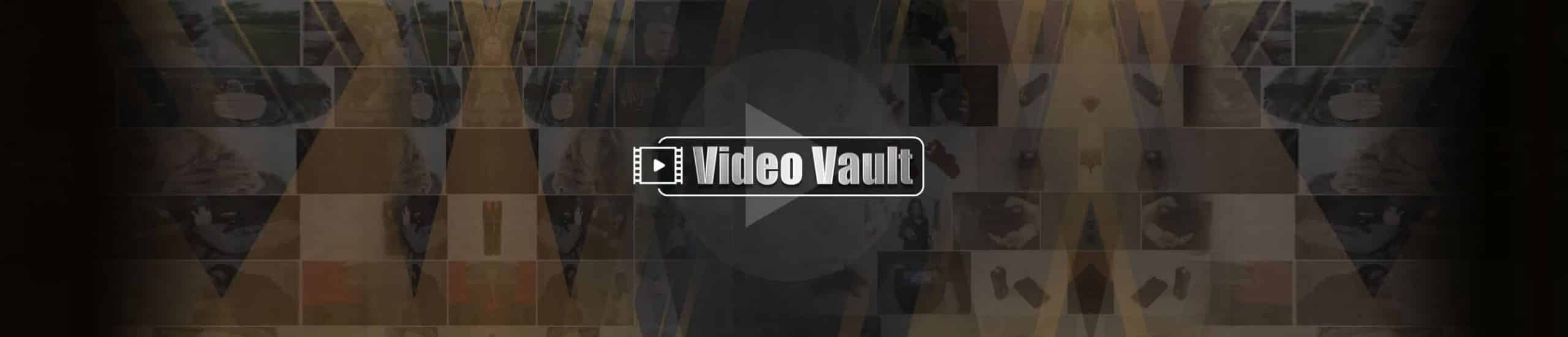 SelfDefenseMall Video Vault